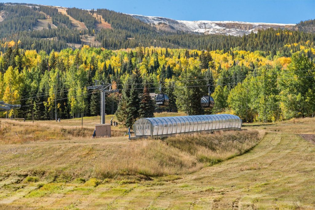 aspen real estate